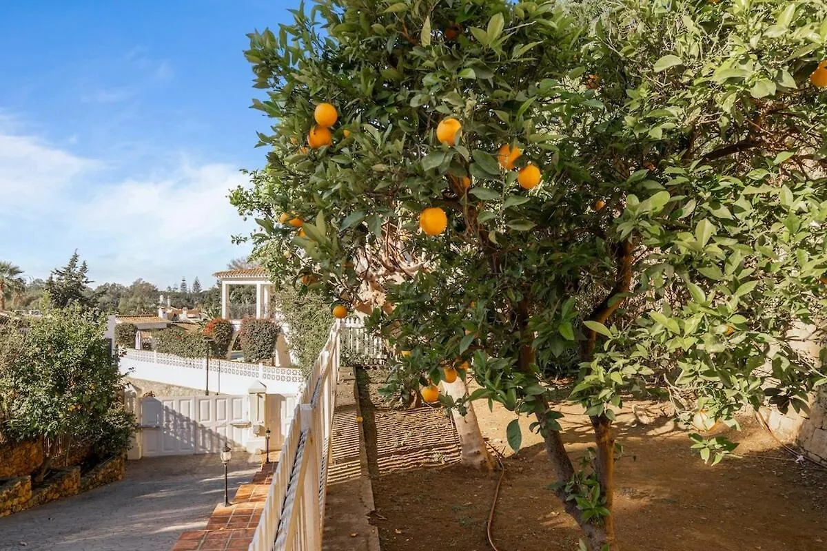 Unforgettable Luxury In Marbella Villa - Rdr461